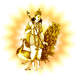 Kartikeya - the god of war